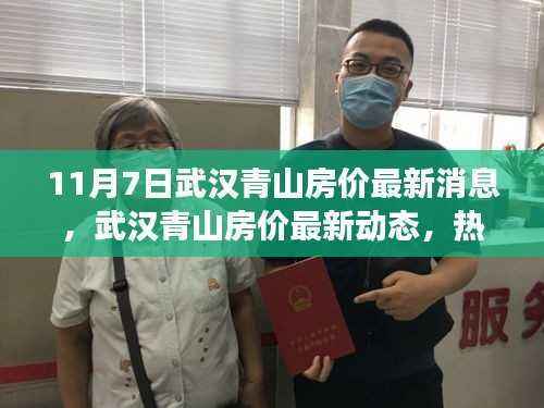 武汉青山房价最新动态深度解析,热议背后的趋势与展望(11月7日)