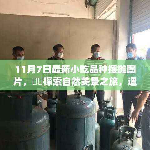 11月最新小吃摆摊美图,自然美景之旅中的美食新风尚与心灵宁静之旅