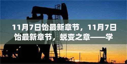 蜕变之章,学习、自信与成就感的奇妙旅程(最新章节更新)