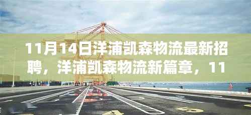 洋浦凯森物流新篇章,11月14日招聘活动深度解析及最新岗位招聘