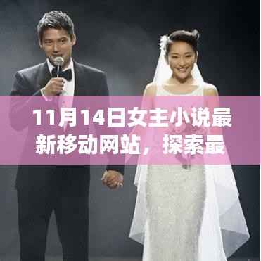 梦幻女主小说殿堂,最新移动网站探索与更新(11月版)