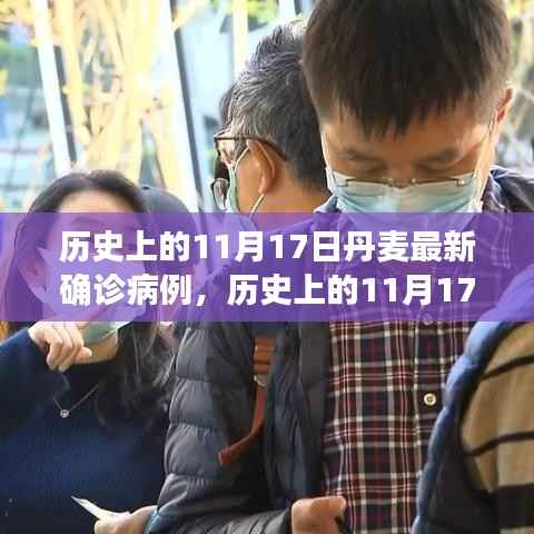 丹麦历史确诊病例深度解析,聚焦11月17日最新数据