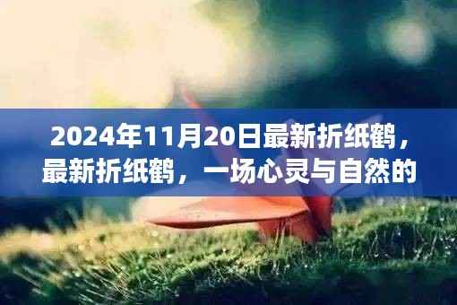 最新折纸鹤,心灵与自然的奇妙旅程(日期,2024年11月20日)