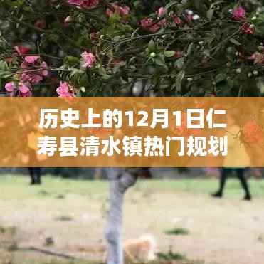 🔥仁寿县清水镇,历史上的12月1日与未来热门规划展望🌟