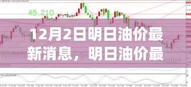 明日油价动态解析,最新消息获取与分析(12月2日更新)