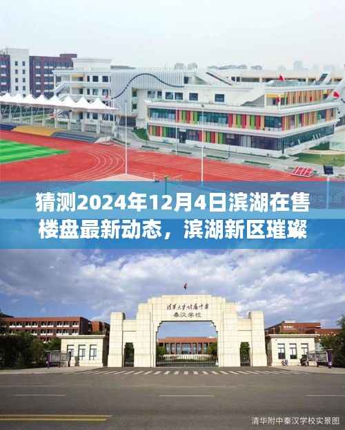 滨湖新区未来璀璨,2024年12月4日楼盘最新动态预测及在售楼盘动态解析