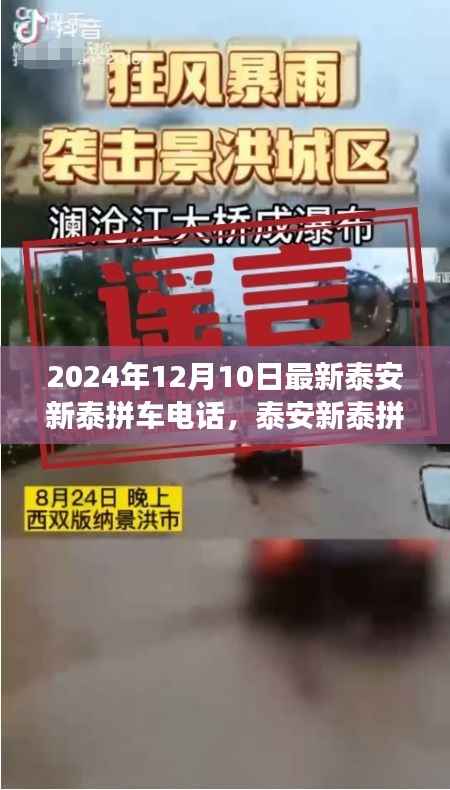 泰安新泰拼车电话最新动态及观点解析(2024年12月10日)