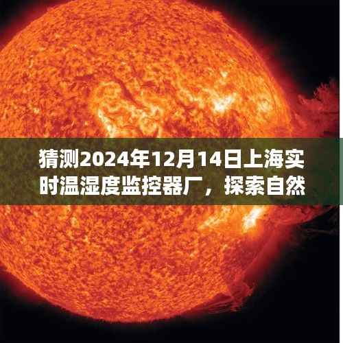 未来上海温湿度监控器厂之旅,探索自然秘境,启程寻找心灵绿洲