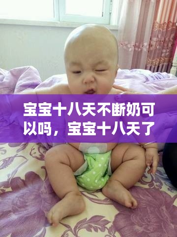 宝宝十八天不断奶可以吗,宝宝十八天了
