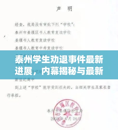 泰州学生劝退事件最新进展,内幕揭秘与最新动态!