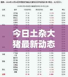 今日土杂大猪最新动态,行业趋势分析,养殖建议一网打尽