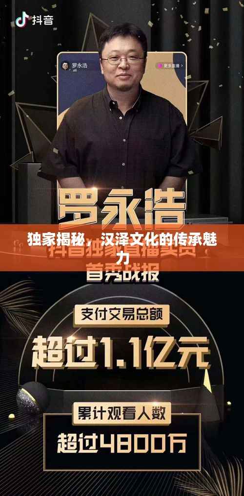 独家揭秘,汉泽文化的传承魅力