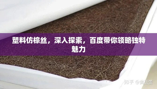 塑料仿棕丝,深入探索,百度带你领略独特魅力