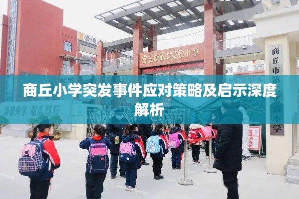 商丘小学突发事件应对策略及启示深度解析