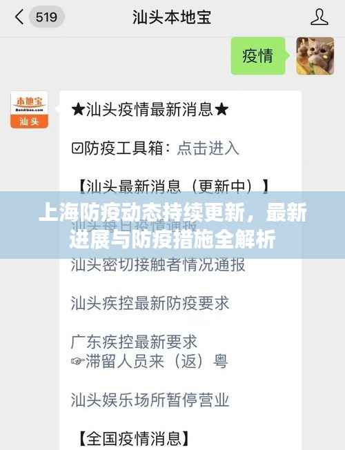 上海防疫动态持续更新,最新进展与防疫措施全解析