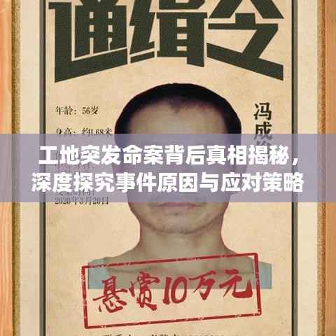工地突发命案背后真相揭秘,深度探究事件原因与应对策略