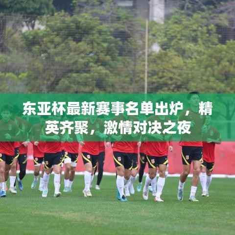 东亚杯最新赛事名单出炉,精英齐聚,激情对决之夜