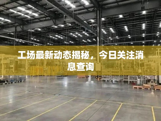工场最新动态揭秘,今日关注消息查询