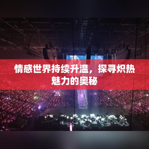 情感世界持续升温,探寻炽热魅力的奥秘